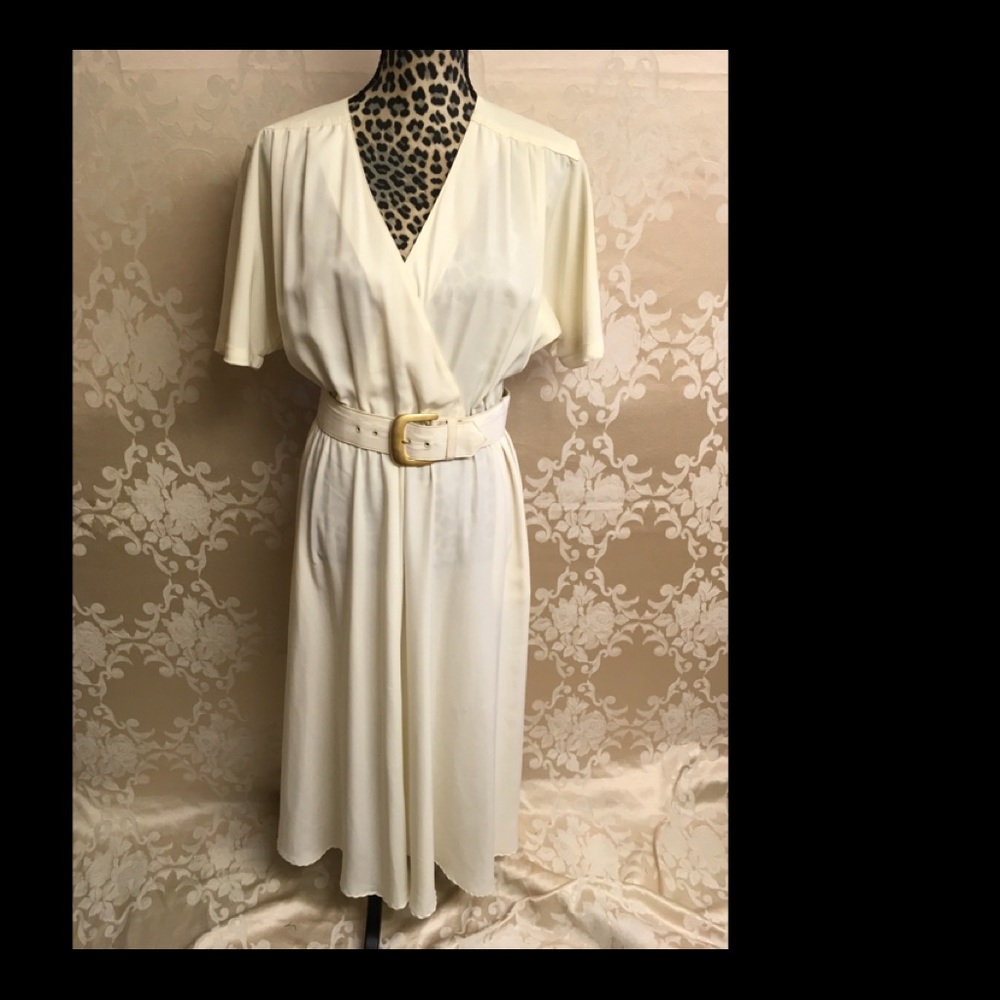 Lovely semi-sheer CAROL ANDERSON shirtdress